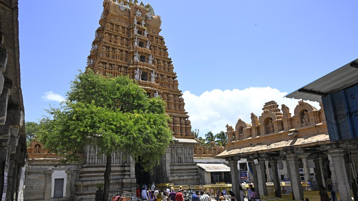 Preparations are on for Srikanteshwara Temple’s ‘Dodda Jathre’