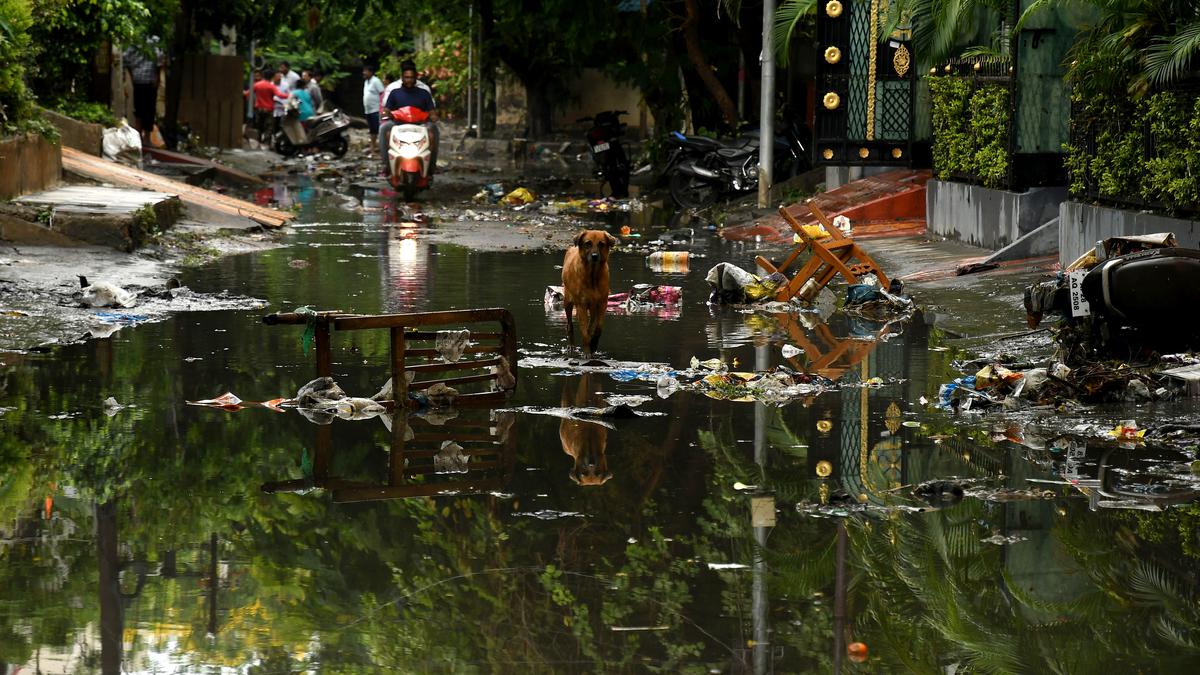 Brace for more rain in Telangana, warns the weatherman