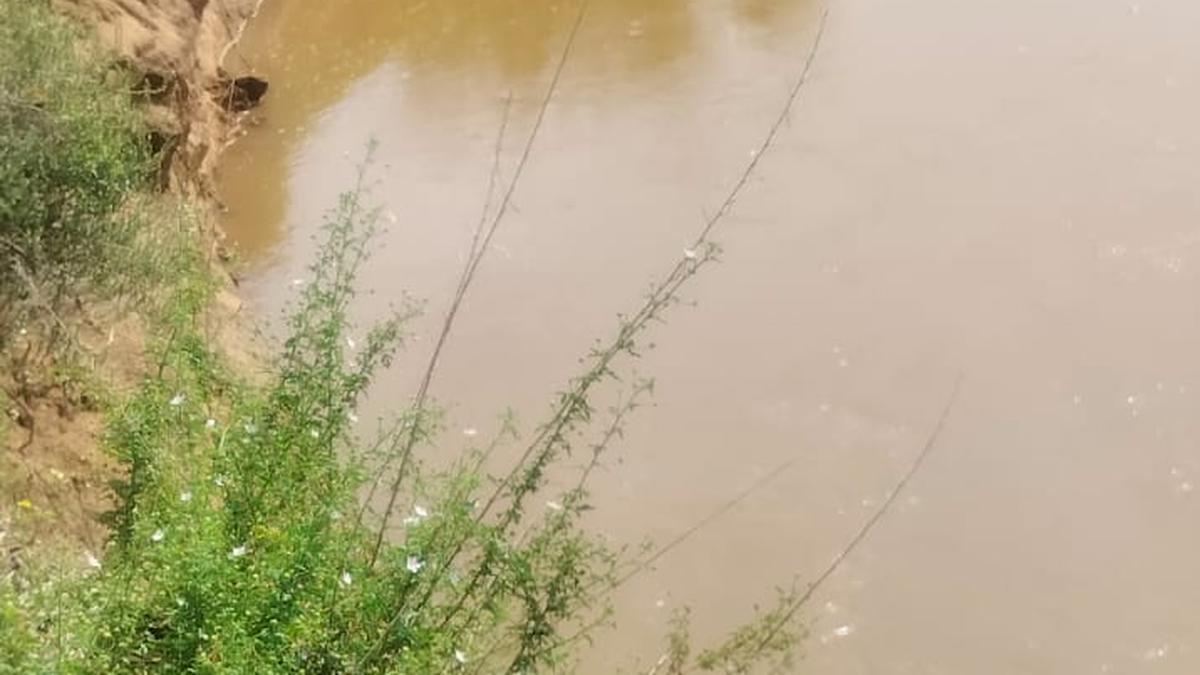 Pulivalam farmers fear breach of Kodinkal drain, seek permanent retaining wall