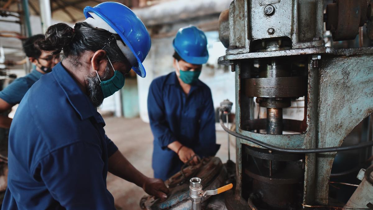 Government data show fall in number of women at work in rural, urban areas