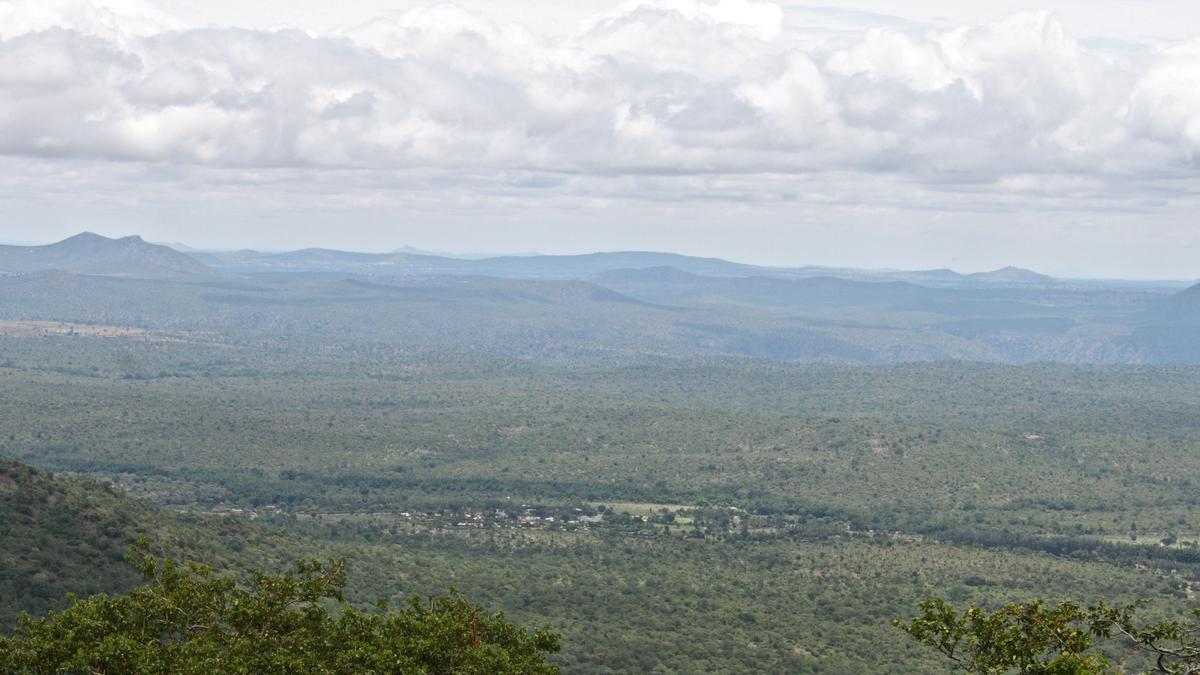 Elephant corridor on Segur Plateau: Owners of private resorts approach Madras High Court challenging the orders of the inquiry committee