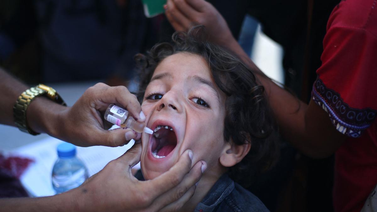 WHO says ‘intense bombardment’ halts Gaza polio vaccinations