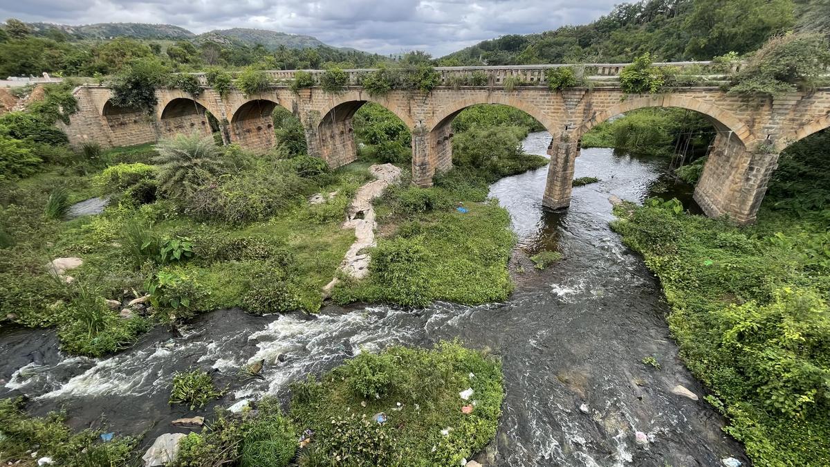 Lawrence schools launch Climate Action Clubs with BBMP, honour pourakarmikas in Bengaluru