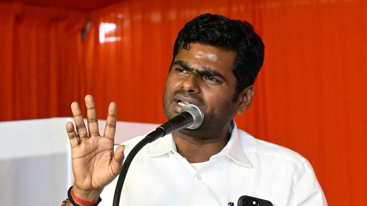 T.N. CM Stalin misrepresenting three-language policy as Hindi imposition, alleges Annamalai