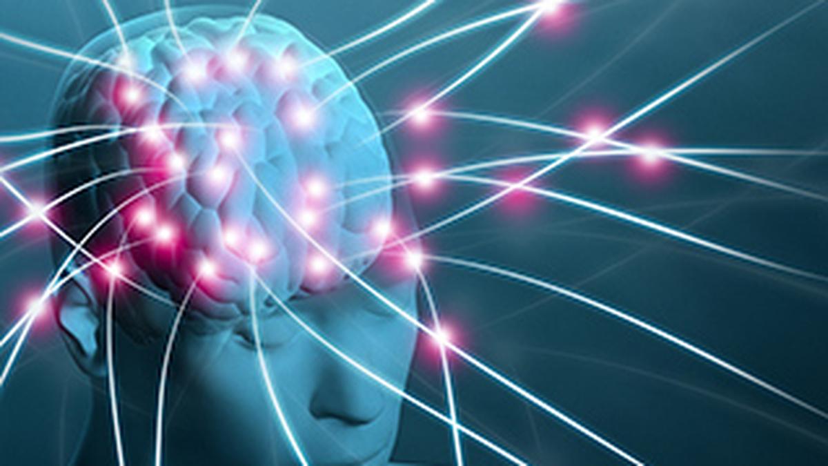 Brain health requires lifelong attention and preventive care​