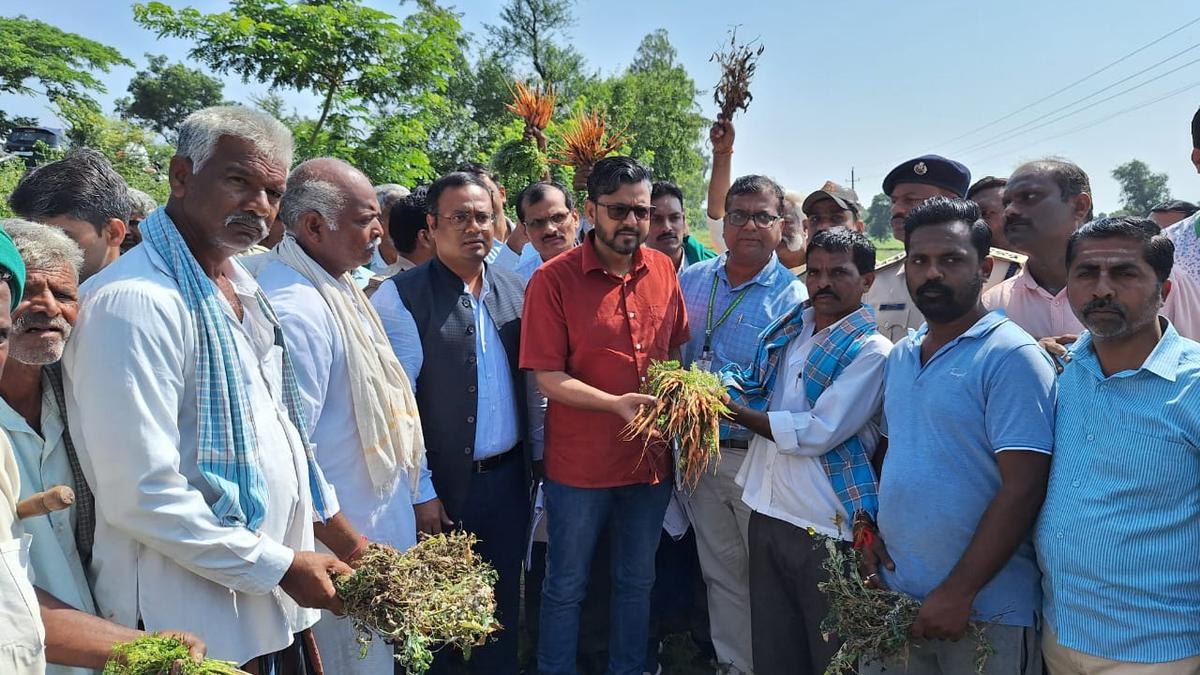 Farmers express woes to Central drought inspection team in Belagavi