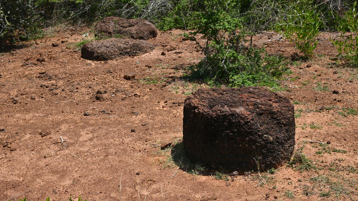 Tamil Nadu’s own Stonehenge left to rot with its potential for research