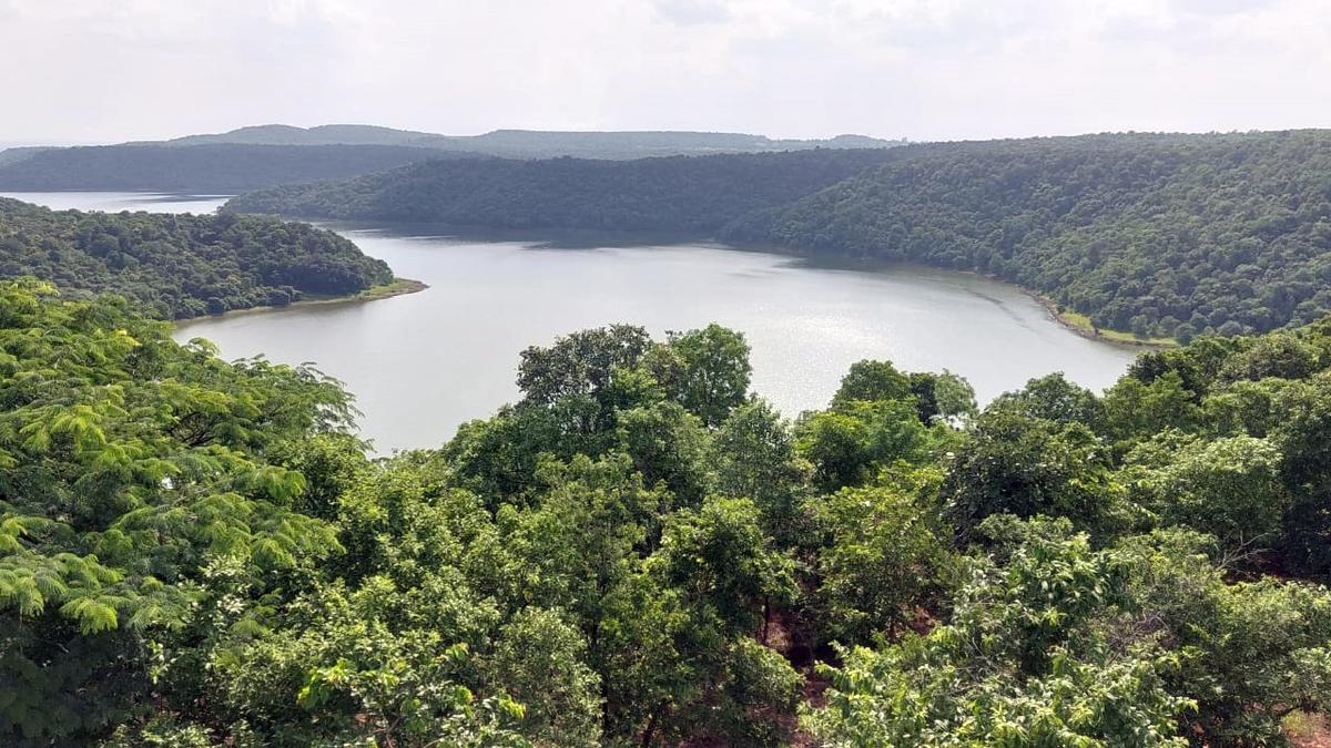 Chincholi Wildlife Sanctuary is like an oasis in arid Kalyana Karnataka