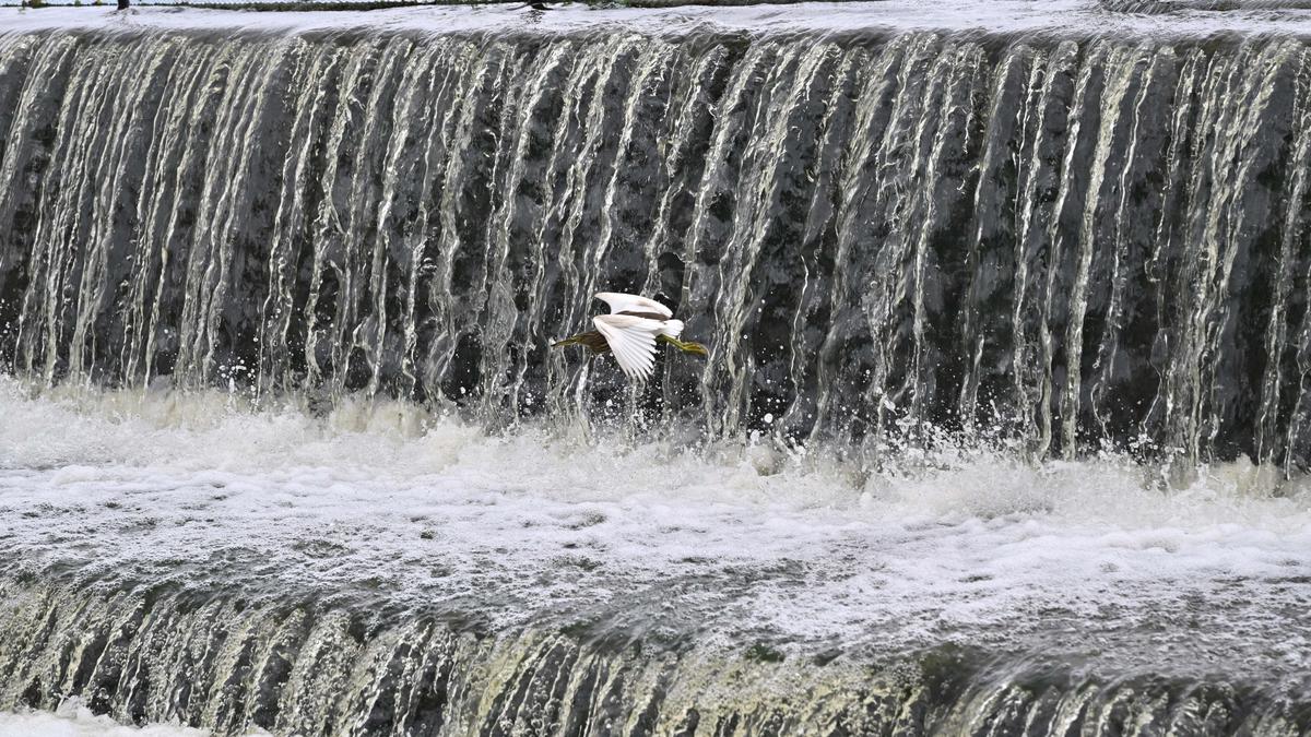About 1,250 extra irrigation tanks in T.N. attain full stage after Cyclone Ditwah