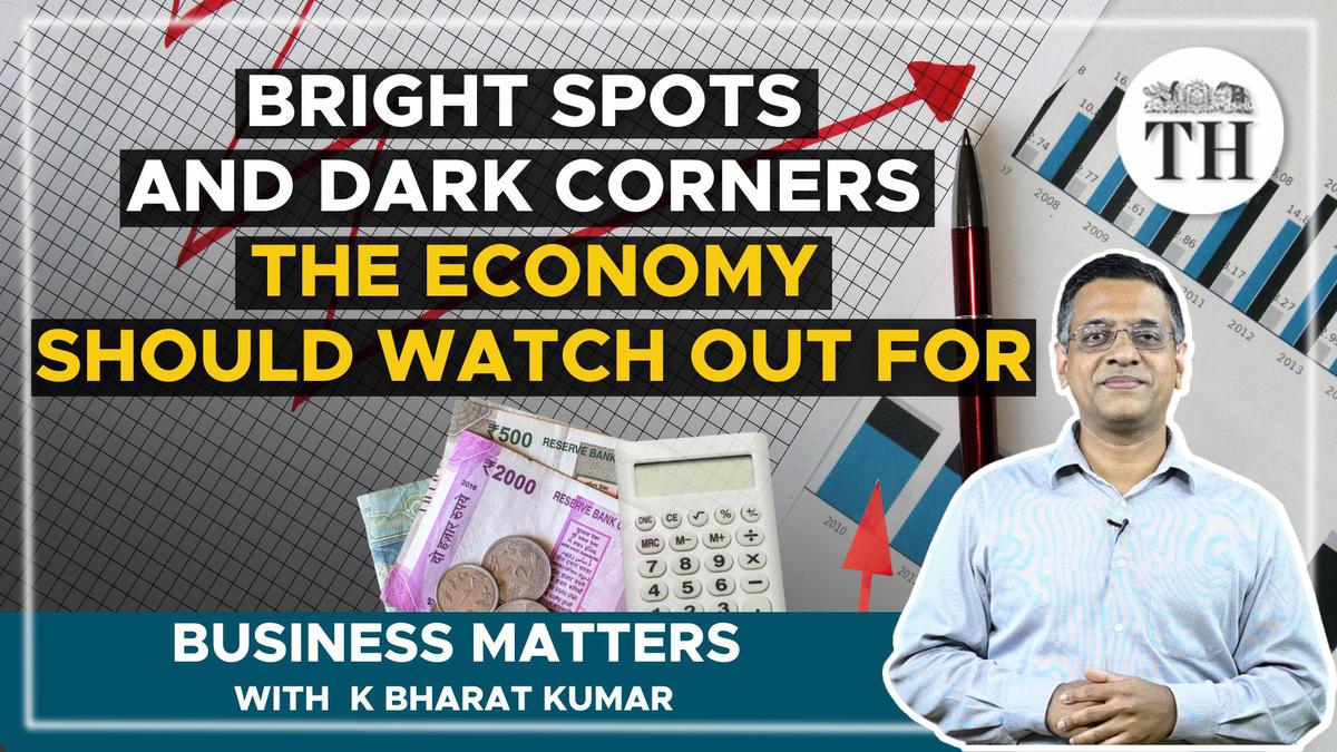 Watch | Business Matters: What do macro economic indicators tell us about India’s performance?