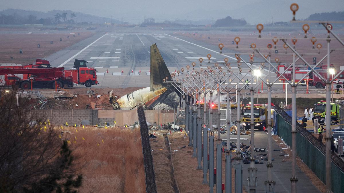 South Korea orders all airports to install bird detection cameras, radars