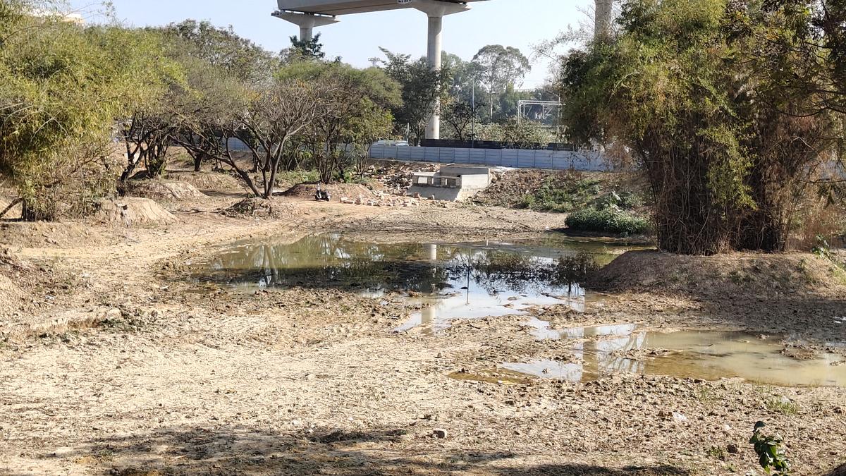 B. Channasandra (1) lake, also known as Kasturi Nagar lake, in Bengaluru. 