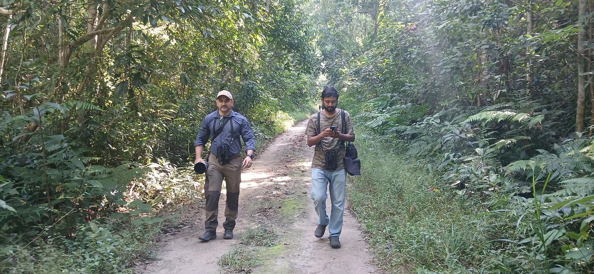 Udayan Borthakur (left) from the Wildlife Genetics Laboratory in Aaranyak, Guwahati, and Santhosh Pavagada from The Habitats Trust keep watch on western holock gibbons in Jorhat, Assam.