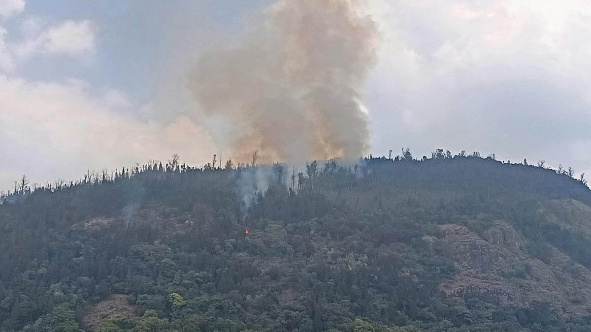 Forest fire in Coonoor for third consecutive day 