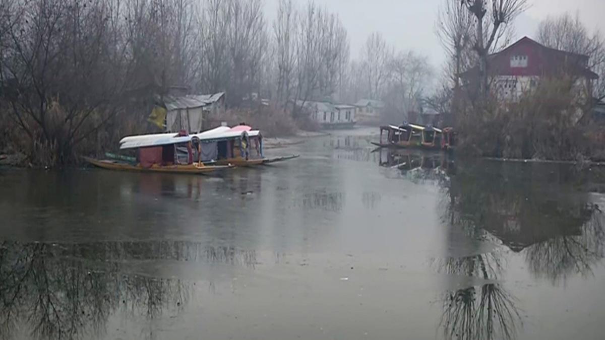 Kashmir witnesses cold wave-like conditions; thin sheet of ice over Dal Lake