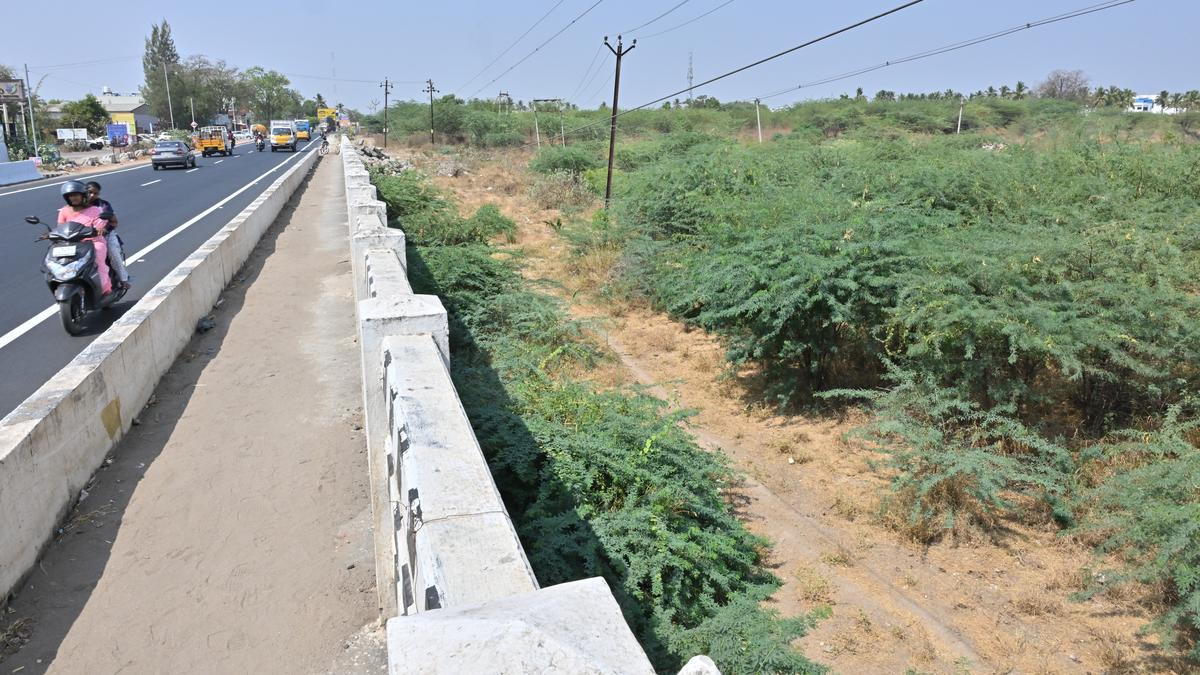 A river in the Kongu region, which once fostered a civilisation, has gone dry