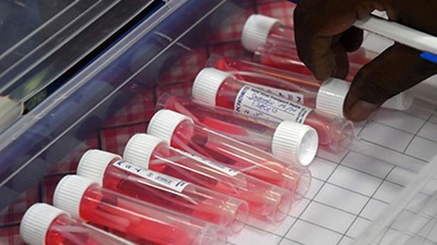 T.N. reports 529 fresh COVID-19 cases, two deaths