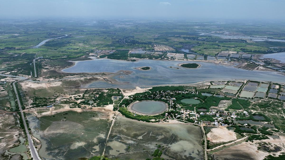 Pulicat fishermen demand long-term solution as silt threatens lake, livelihoods