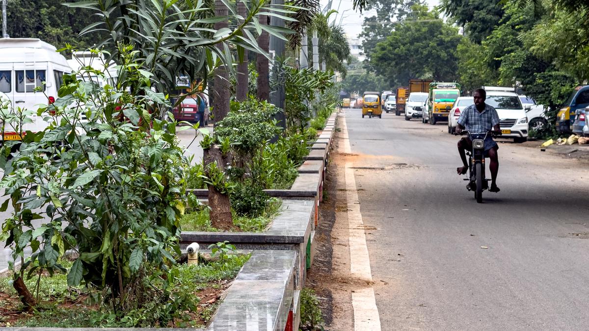 Residents seek designated vending zone on Tiruchi’s 80-feet road to curb encroachments