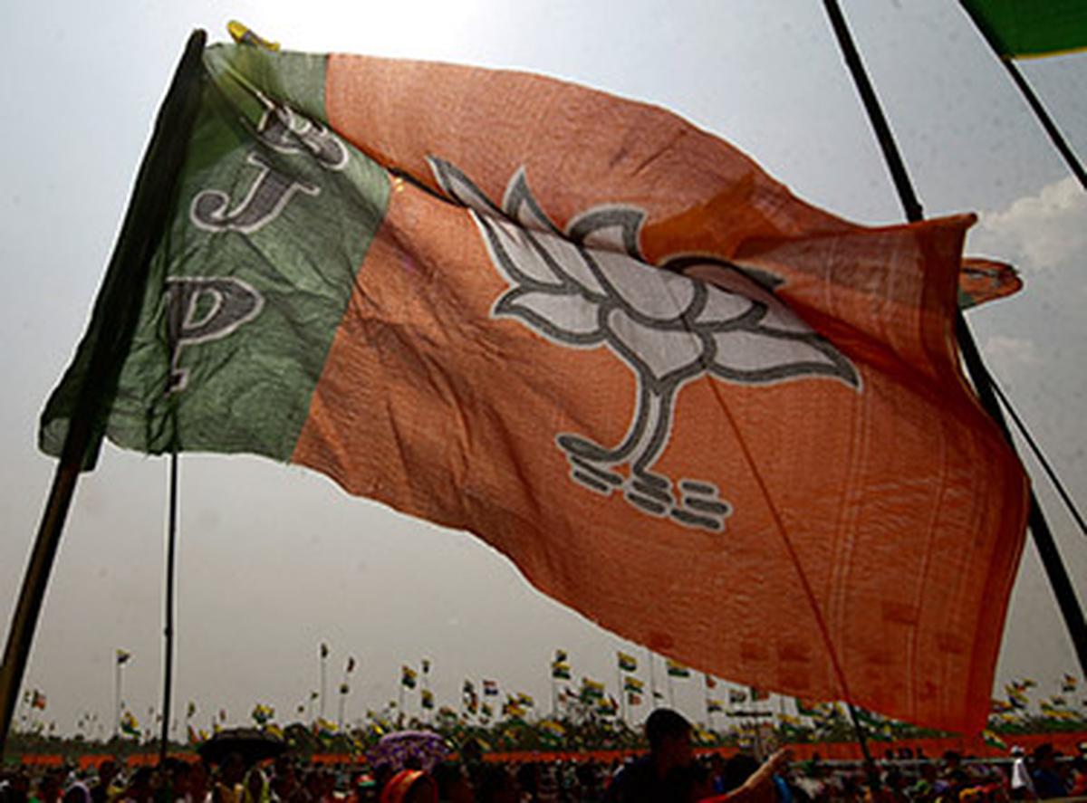 Andhra Pradeshs Deputy Cm Drops Bombshell Claim About Bjps Hindi Agenda - juodpvc