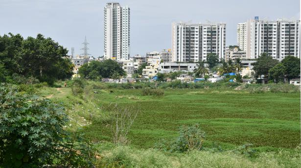 Don’t construct new roads or widen existing ones within Subramanyapura and Begur lake areas: Karnataka HC