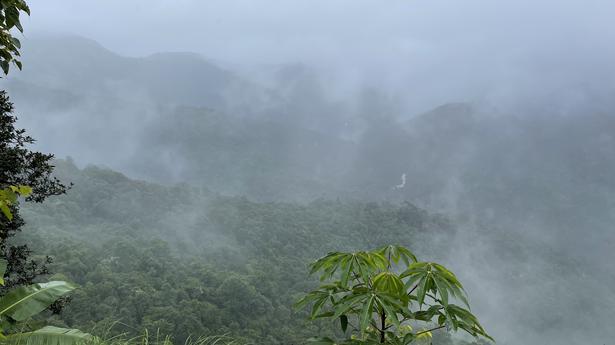 Schools to remain close in Sakaleshpur, Alur, Arakalgud today