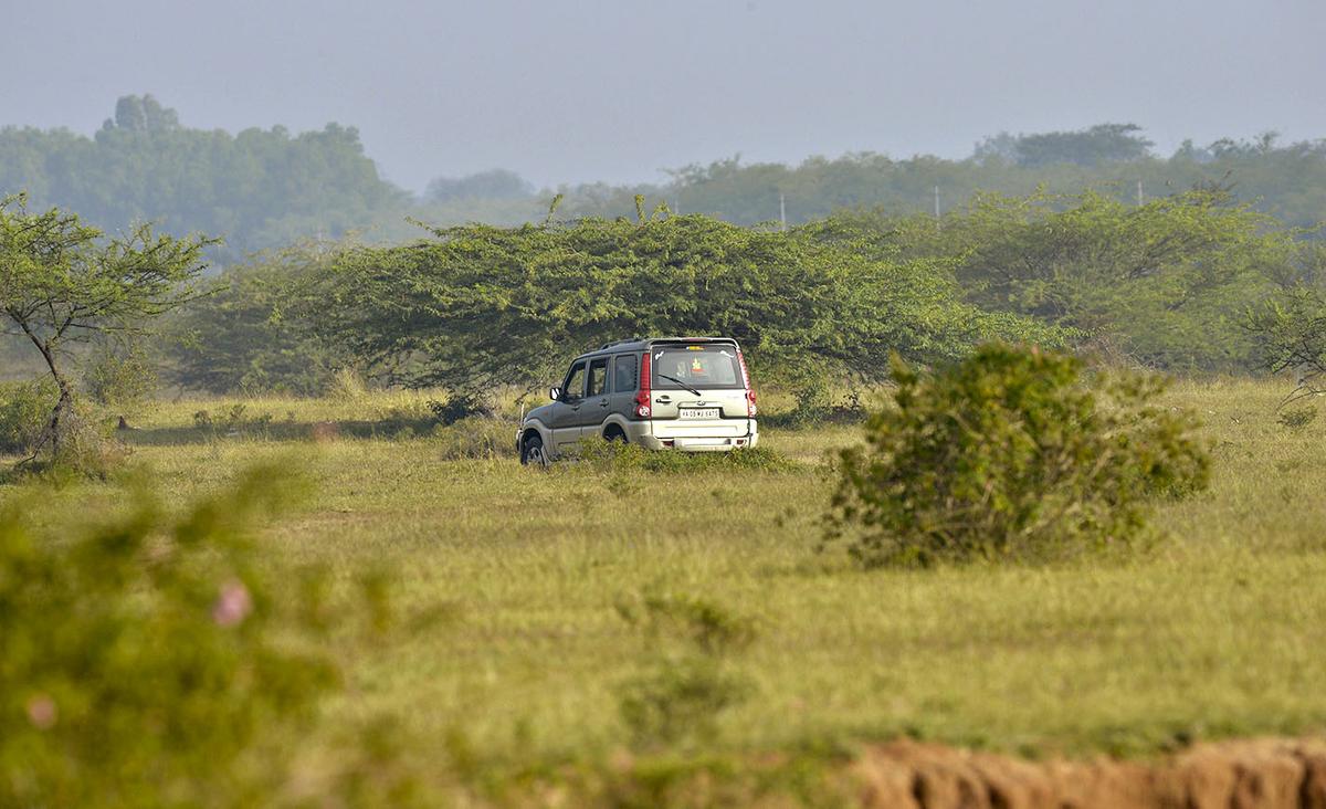 Hesaraghatta grass land, Lake and manmade reservoir created across Arkavathy river at Hessarghatta 18 kms from Bengaluru.