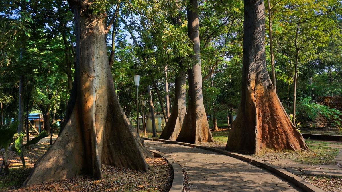 Government Botanical Garden in Puducherry gets a facelift