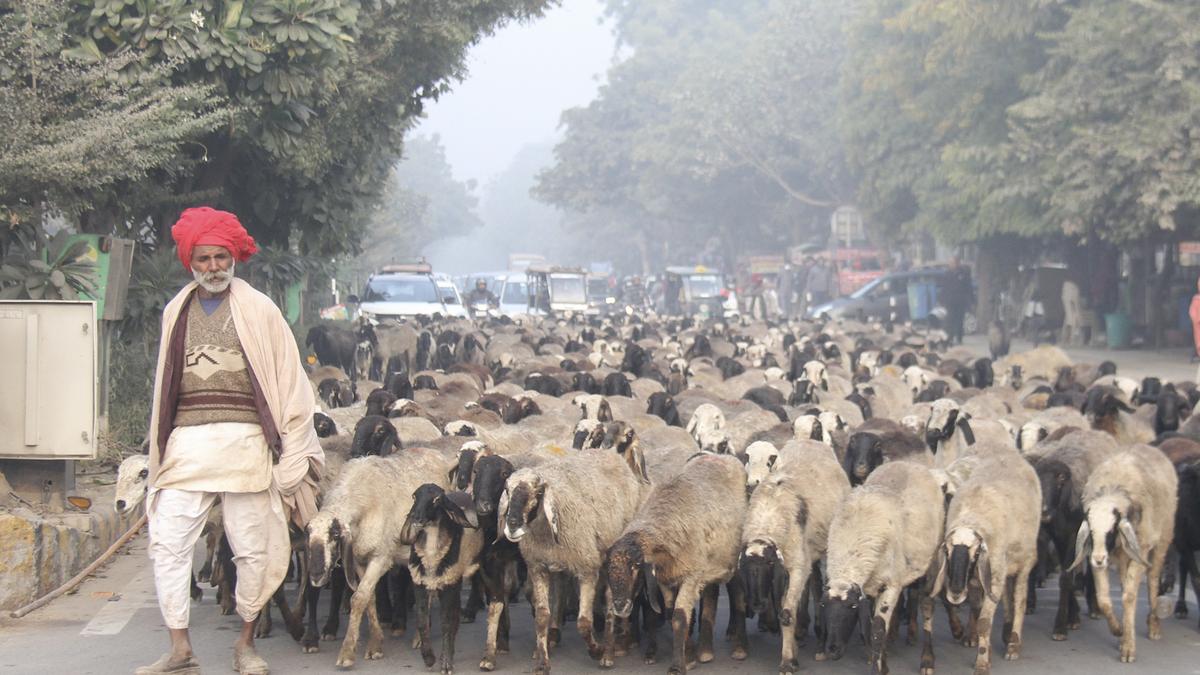 Temperature drops in parts of Rajasthan; Sikar records 1.5 degrees C