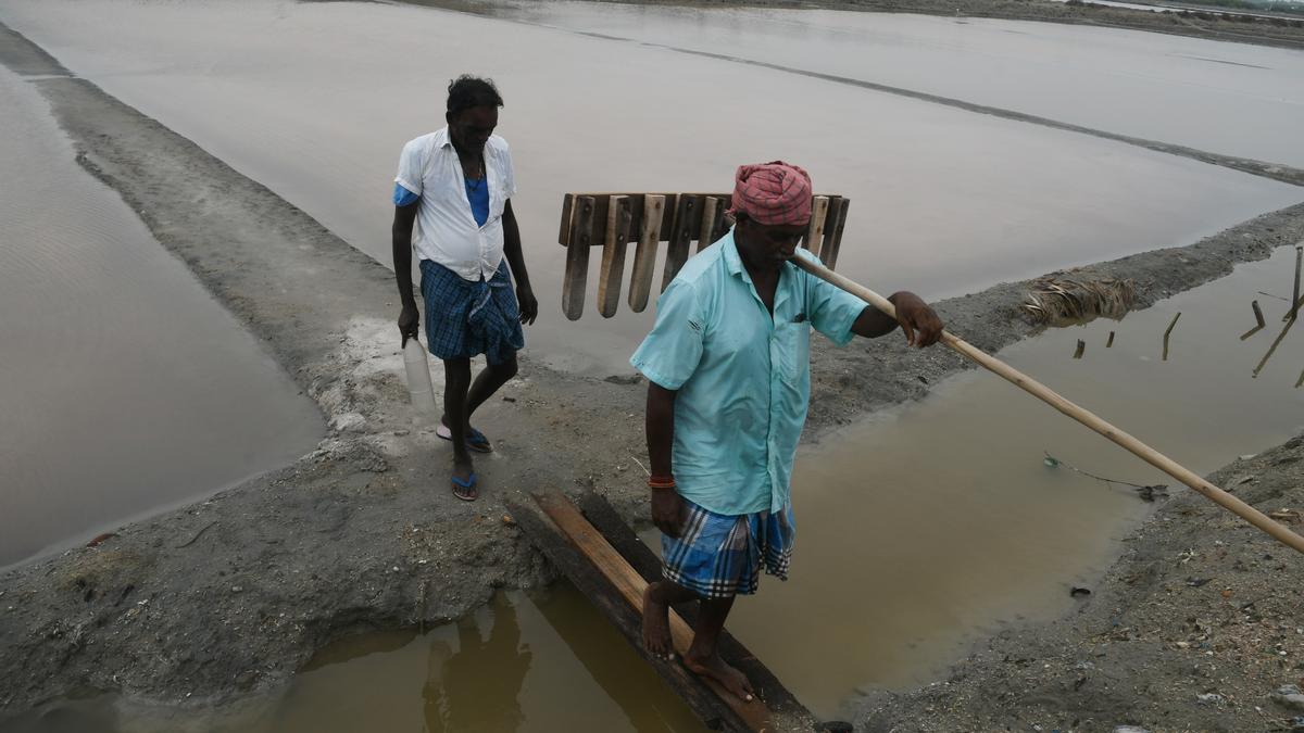 Season ends in Thoothukudi with 20 lakh-tonne salt production
