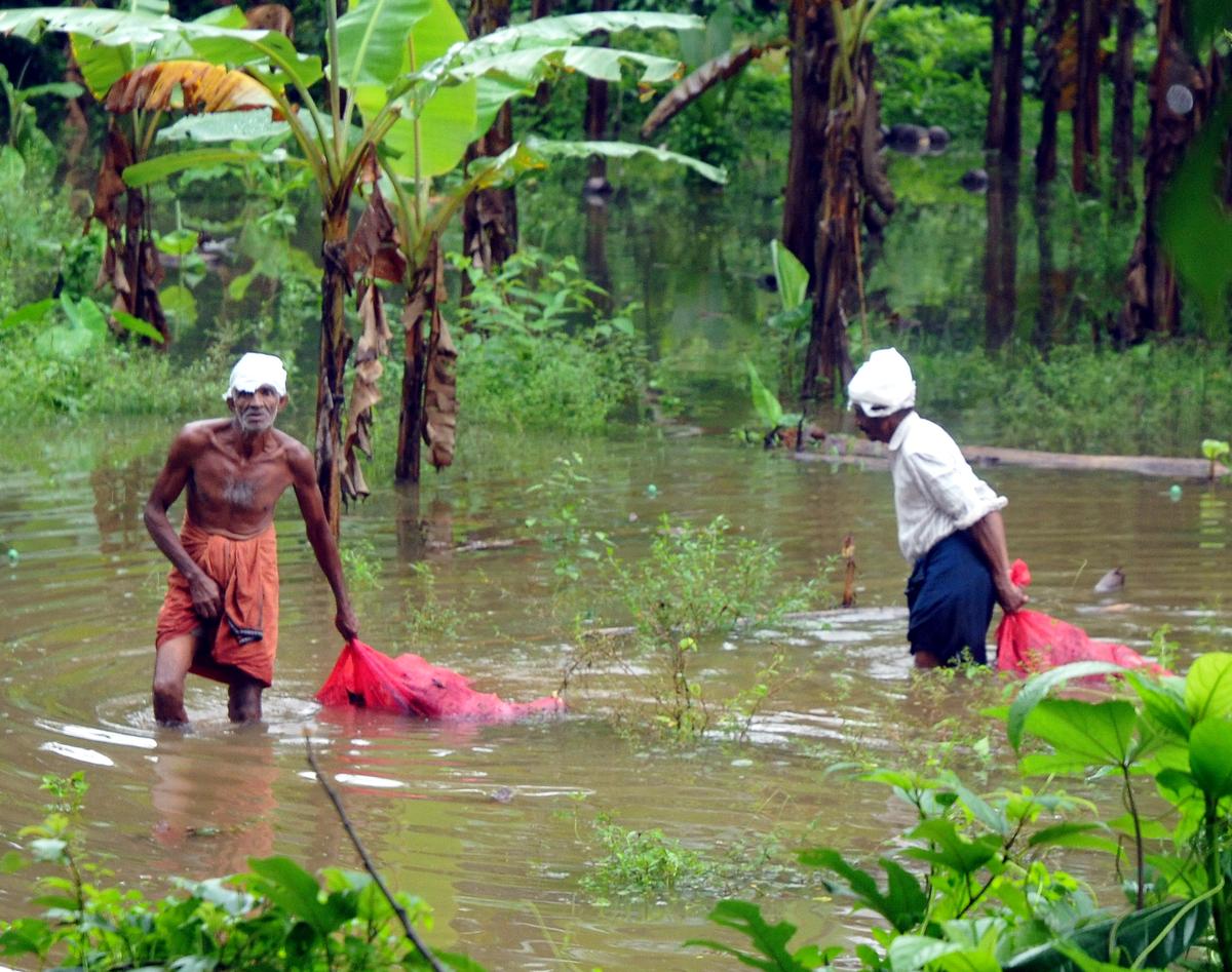 The profile of those who are affected by the disease has remained more or less the same: with most of the affected being most are farmers or manual/agricultural labourers or people whose work puts them at risk of regular contact with water/soil that may be contaminated. File photograph used for representational purposes only