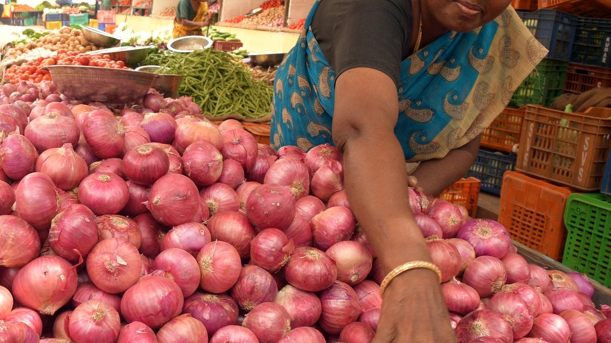 Price of Bellary onions plummets in Tiruchi The Hindu