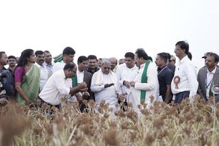 Mandya key to India achieving 20% ethanol blending with petrol target: S.E.  Sudheendra - The Hindu