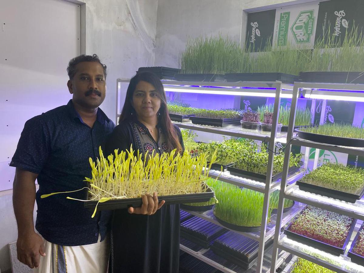 Sunesan K and wife, Shaikath Majeed with the microgreens