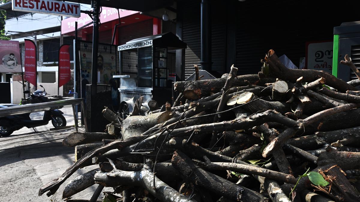 Kerala food services shutdown: LPG price hike fuels 24-hour Statewide strike, leaves thousands struggling