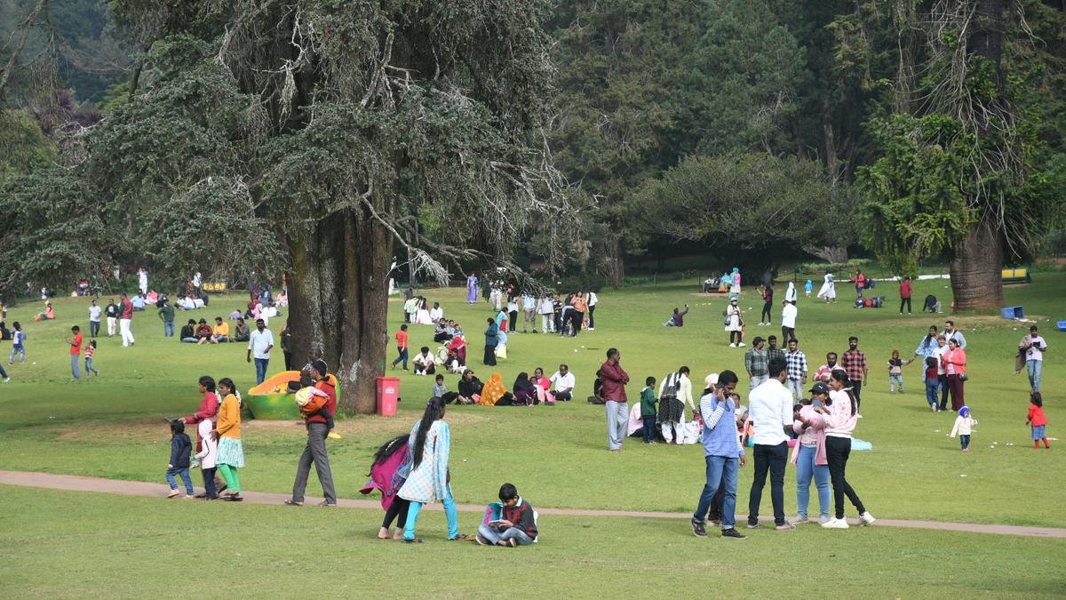 Tourist footfall to the Nilgiris increases by 4 lakh in 2023