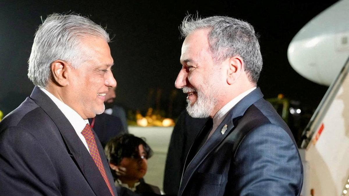 Efforts to achieve peace, stability in region to continue: Pakistan's Deputy PM