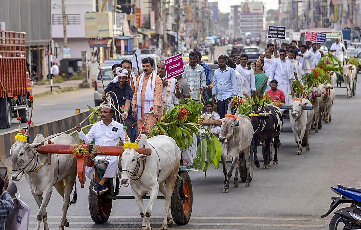 Officers and workers take part in a bullock cart rally organised by the district administration to create awareness about voting ahead of Lok Sabha elections, in Chikkamagaluru district.