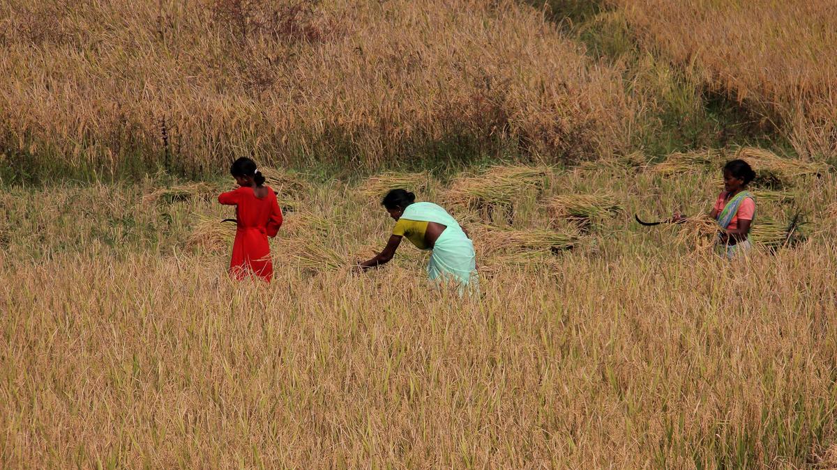 In Bihar, farmers’ registration work will be carried out from February 2 to 6