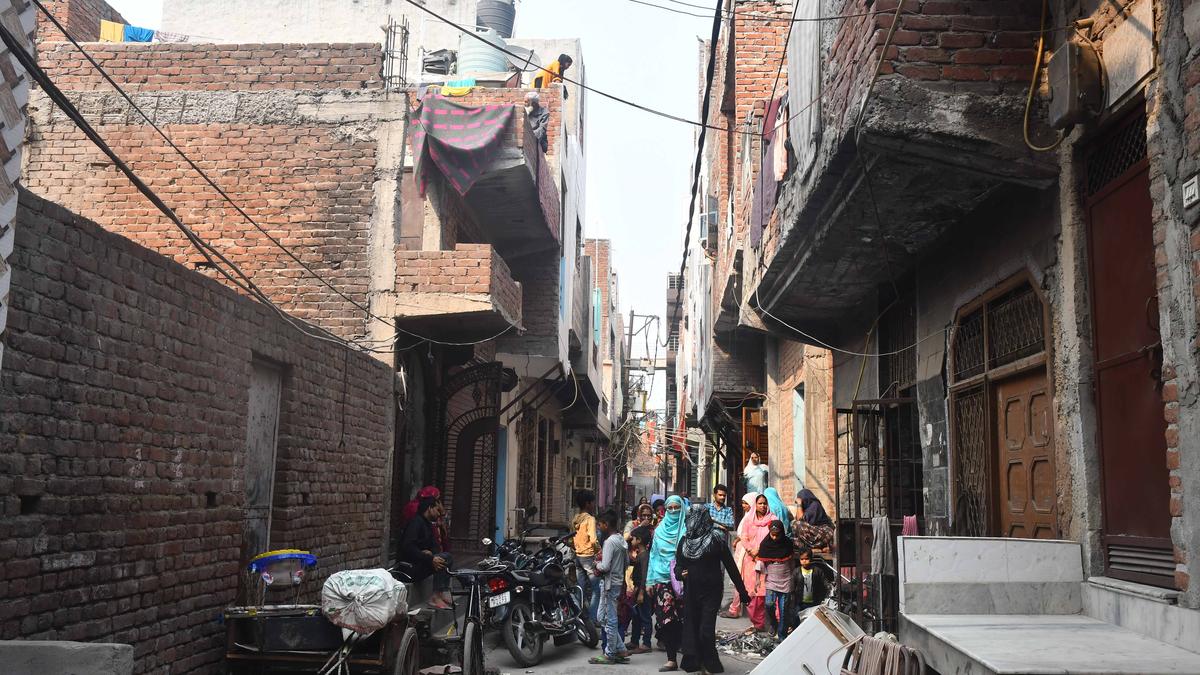 2020 Delhi riots: Court directs DCP to take 'immediate remedial action' regarding incriminating but unverified video