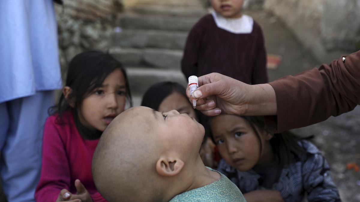 Taliban suspended polio vaccination campaigns in Afghanistan: U.N.