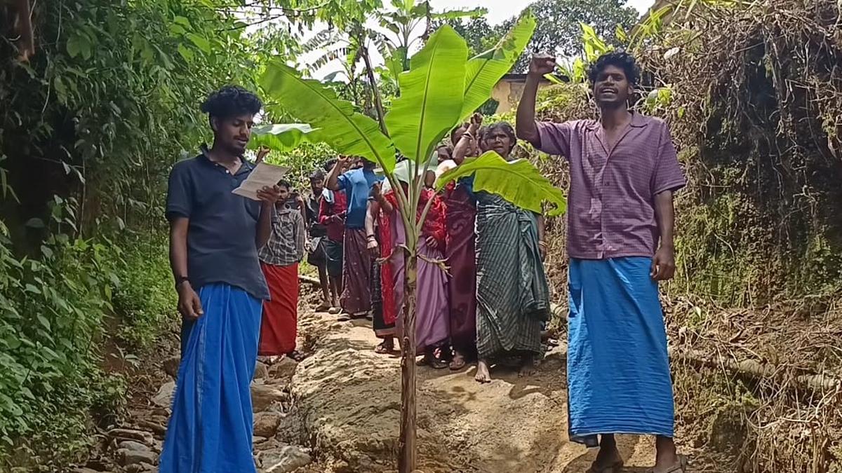 Tribespeople in Edamalakkudy launch open protest, plant banana plant on road