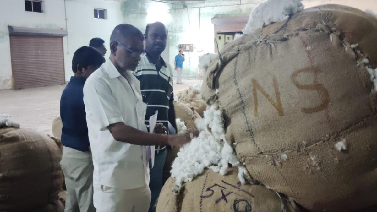 Karaikal farmers heave a sigh of relief as cotton prices improve