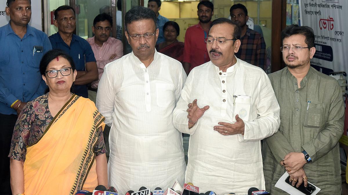 Trinamool leaders meet Chief Electoral Officer over ‘fake voter’ issue