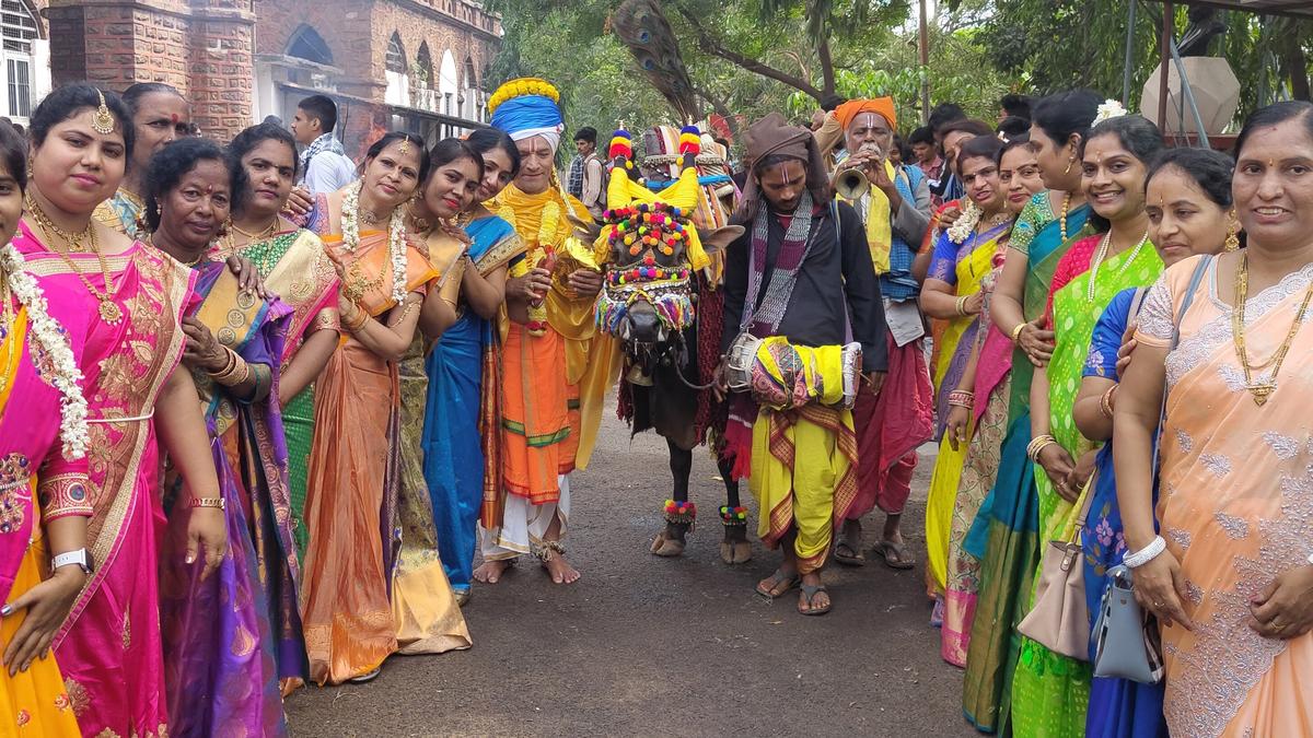 ‘Mini Sankranthi’ celebrated at Mrs. AVN College