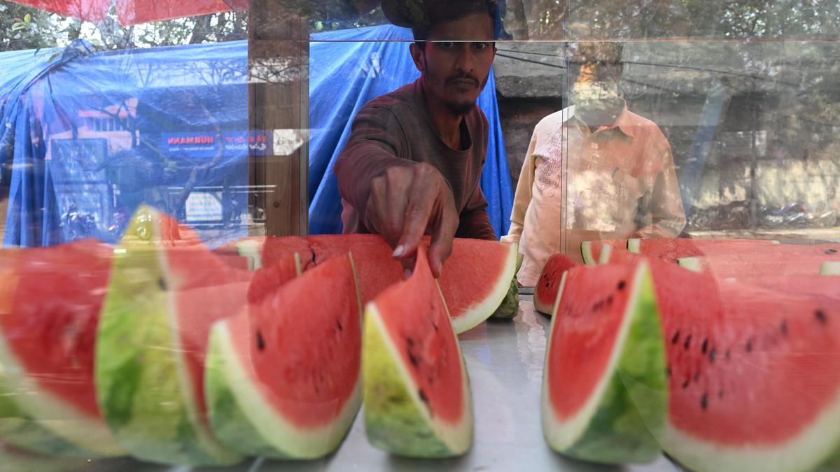 Summer in Karnataka to be hot and humid: IMD