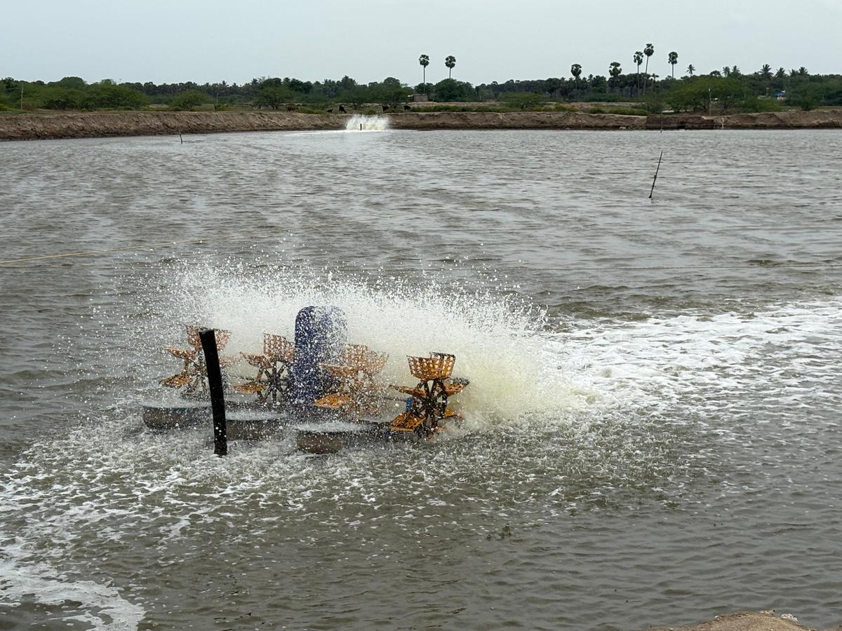 A motor continues to operate at the shrimp farm near Kottaimedu, despite violations of Coastal Aquaculture Authority norms in Sirkazhi taluk, Mayiladuthurai district A motor continues to operate at the shrimp farm near Kottaimedu, despite violations of Coastal Aquaculture Authority norms in Sirkazhi taluk, Mayiladuthurai district