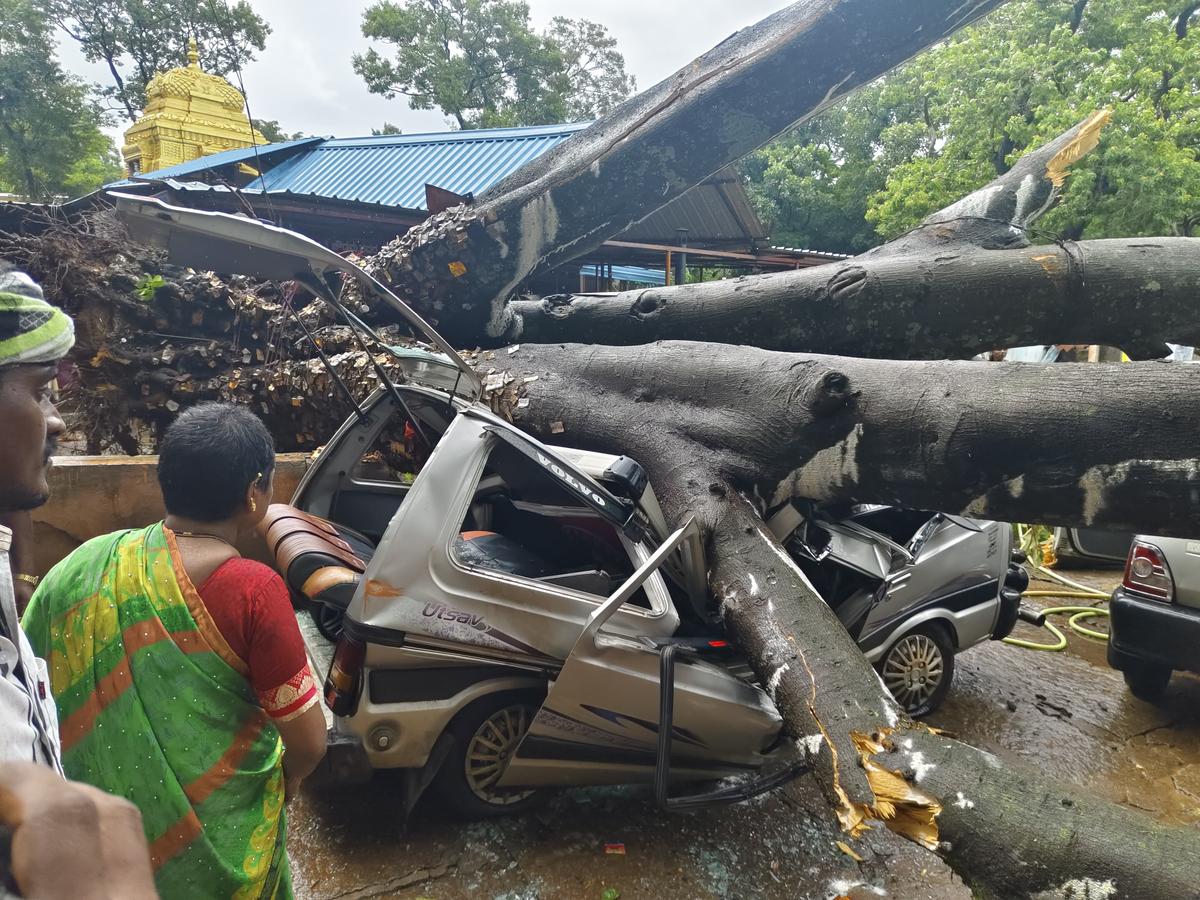 A tree fell on a car at Kallthagiri near Lingadahalli in Tarikere taluk during heavy rains on Tuesday.