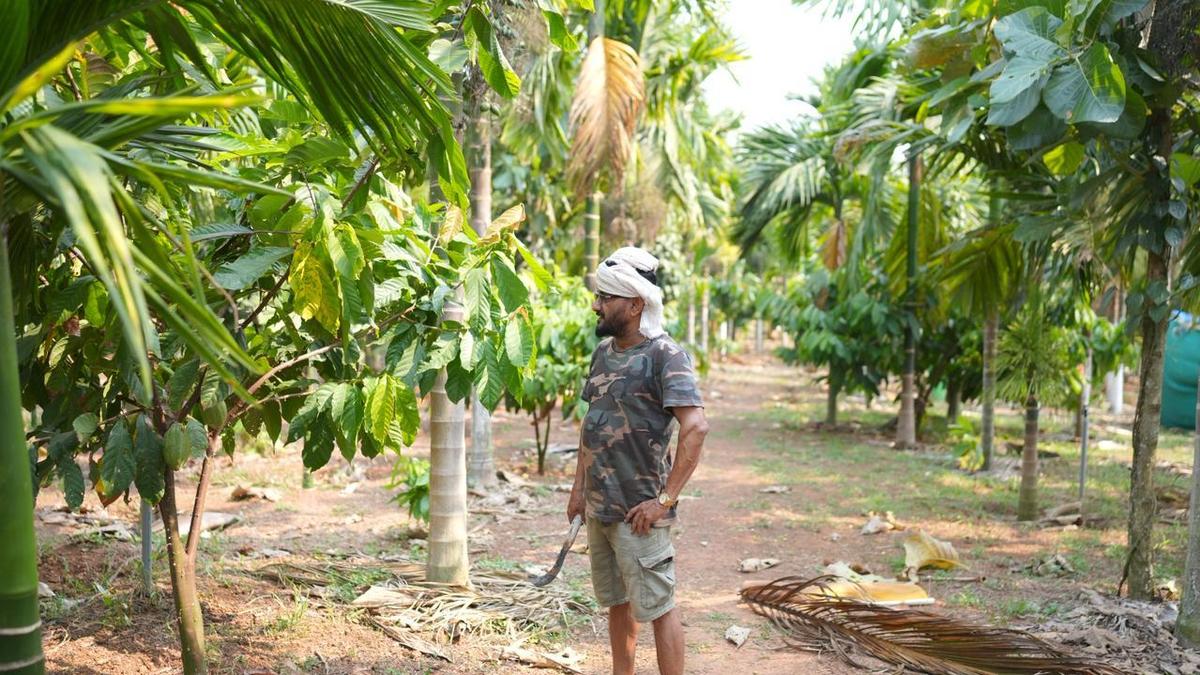 Facility manager quits job in Bengaluru, turns barren land into self-sustainable green farm in Polali in Dakshina Kannada district in Karnataka