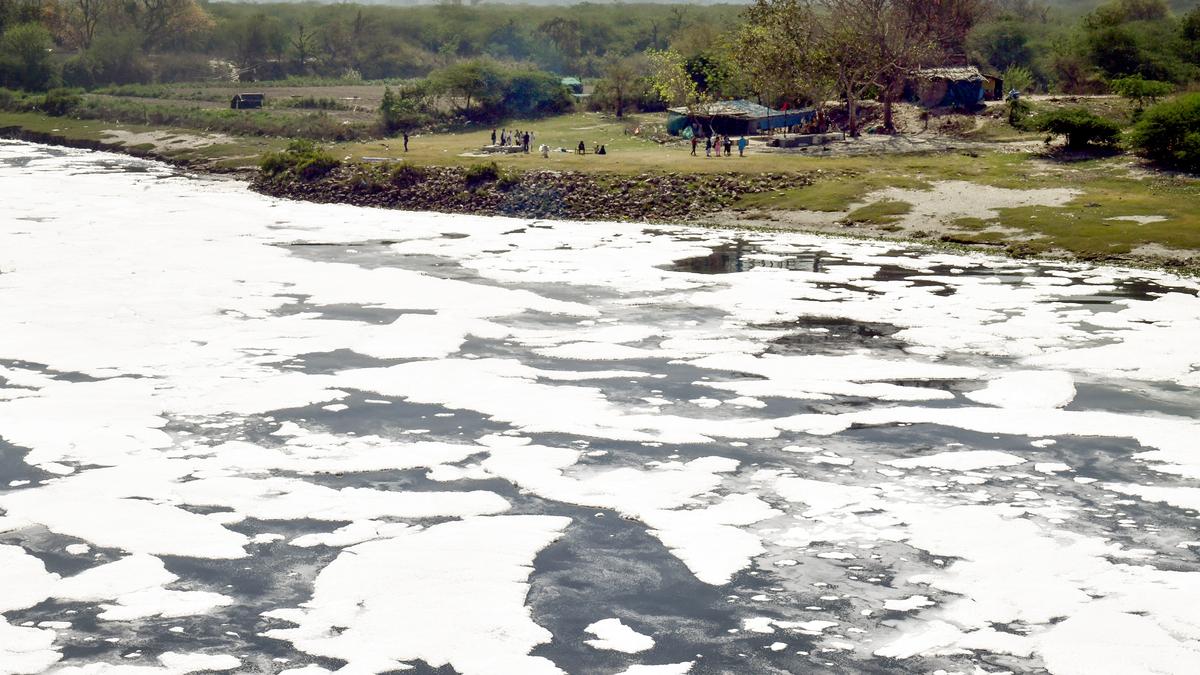 Pollution: Parliamentary Panel says 23 Yamuna sites fail water quality test